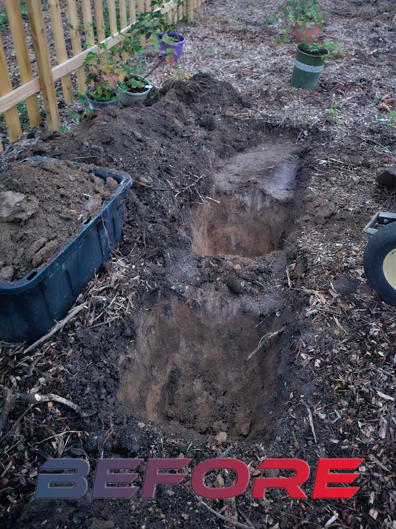 Stump-grinding-and-surface-leveling-of-a-black-walnut-before-grinding