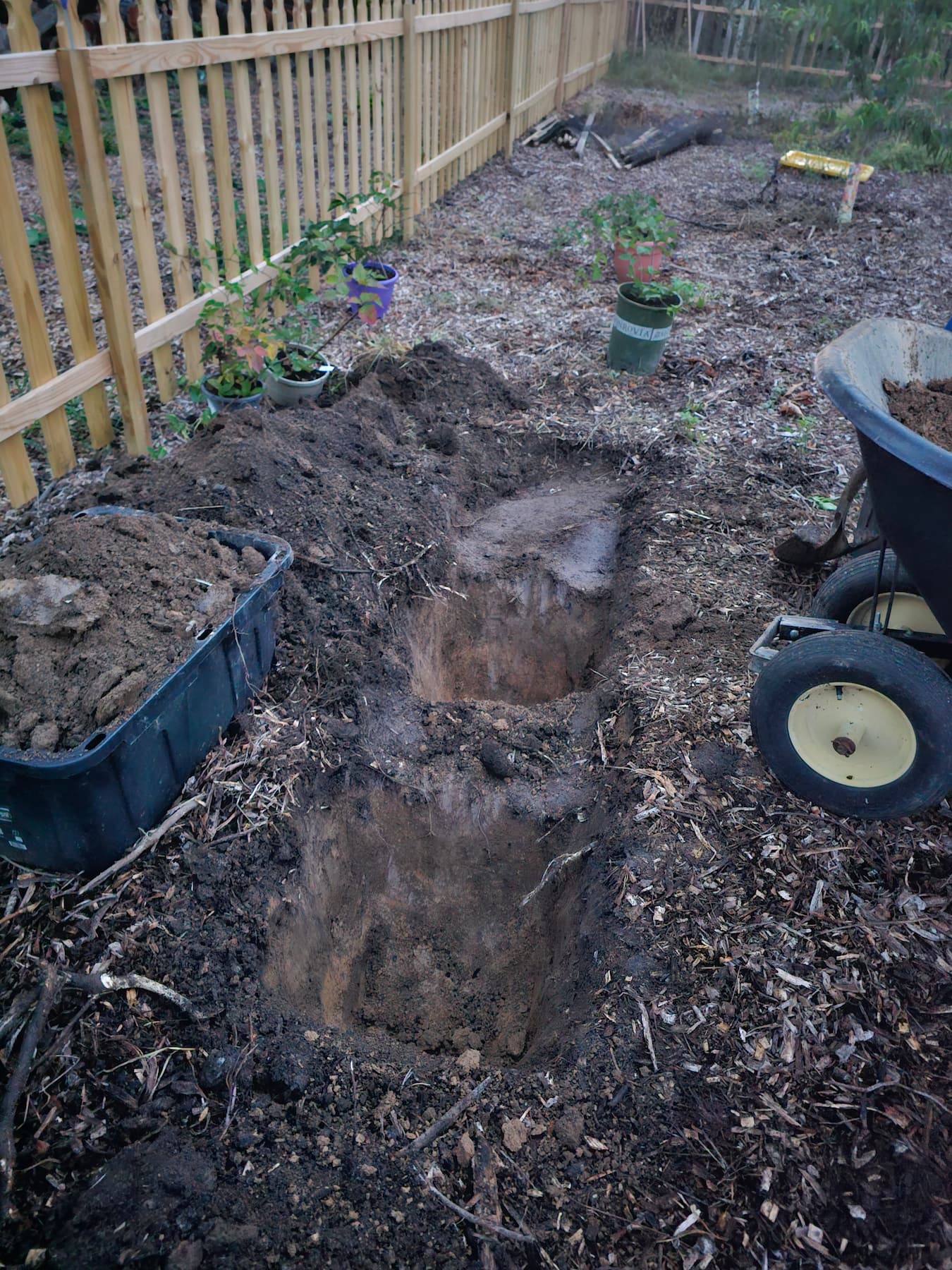 Stump-Griding-before
